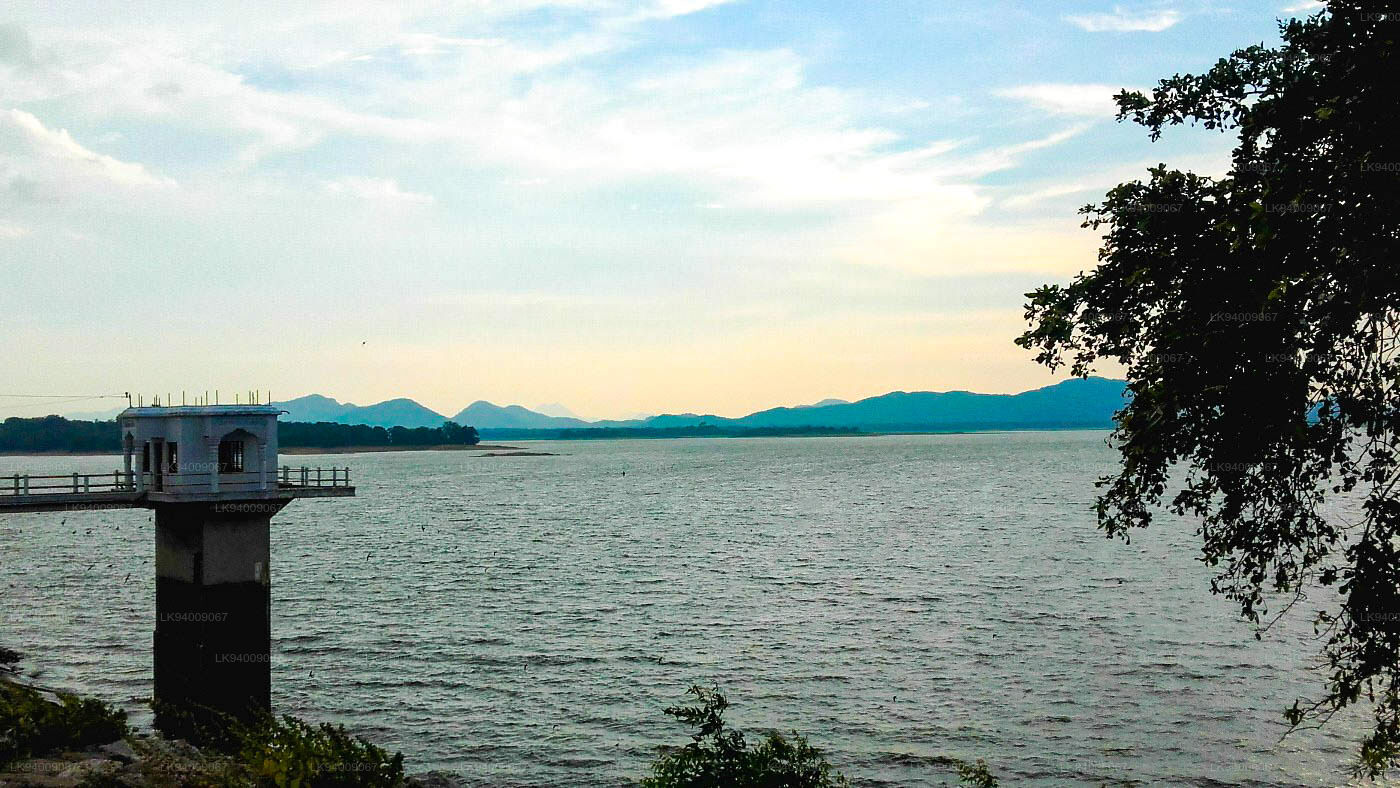 Enjoy a Minneriya National Park Safari